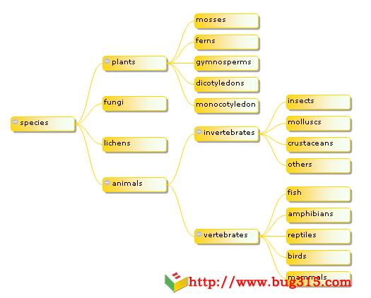 Graphic JavaScript Tree with Layout