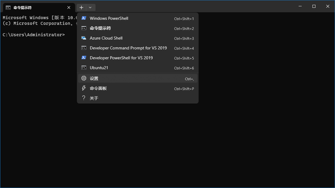 Windows 终端配置快速 SSH 连接