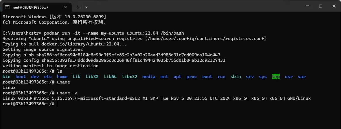 Podman 创建启动容器